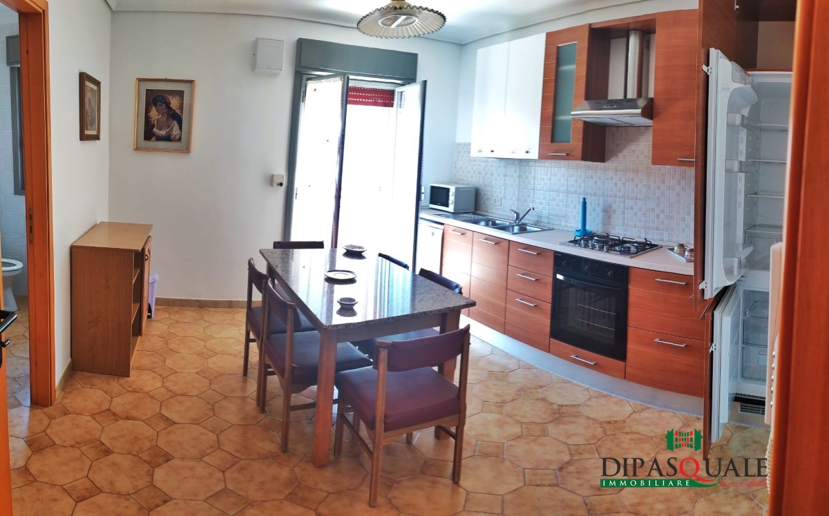 Appartamento RAGUSA affitto  Ragusa  La Casa Ideale